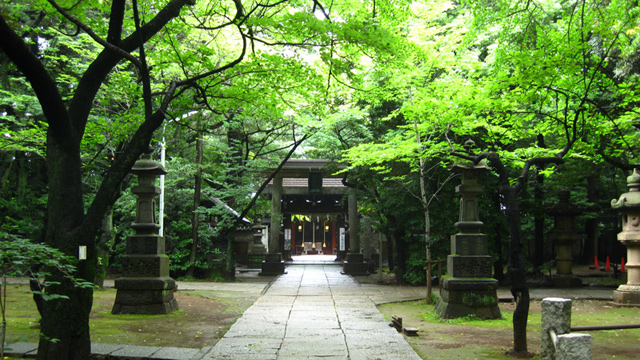 氷川神社　東京　恋愛